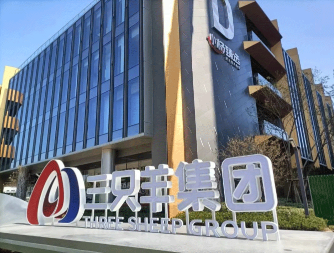 合肥市三只羊集團(tuán)總部地毯 合肥市三只羊集團(tuán)總部地毯