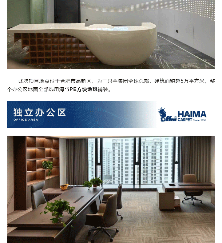 合肥市三只羊集團(tuán)總部地毯_02.gif